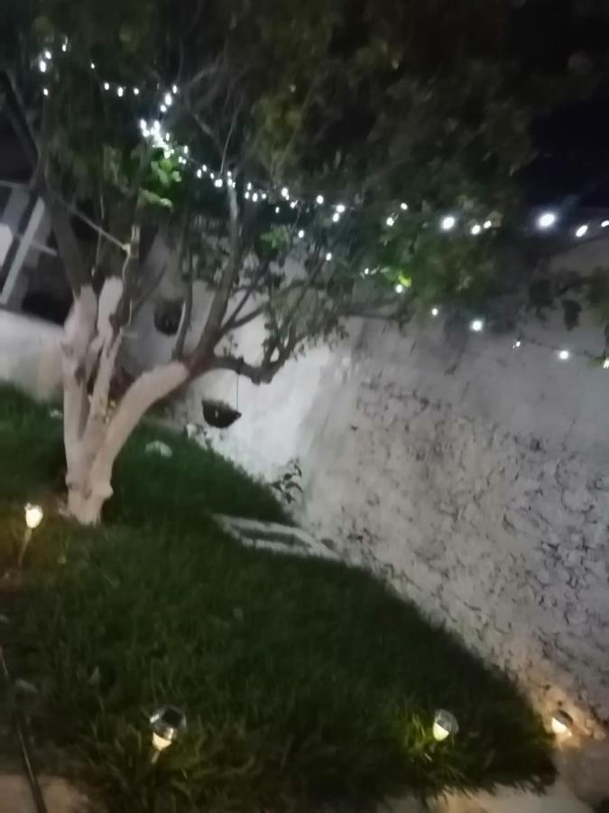شقة ميريدا  في Cobas Departamentos المظهر الخارجي الصورة